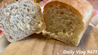 PANE FATTO IN CASA  Daily Vlog 471 [upl. by Wharton349]