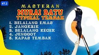 104 🔴 LIVE MURAI BATU MASTERAN MATERI BELALANG JANGKRIK JENGGOT KAPAS TEMBAK  MURAI JUARA [upl. by Chappy]