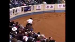 David ROUX  2007 NRHA Fei Wold Reining Masters [upl. by Junieta]