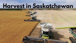 Harvest in Saskatchewan  2020 4K [upl. by Yarezed632]