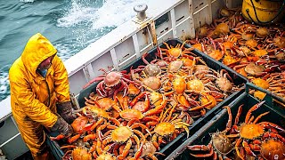 INCREDIBLE King Crab Catching  Explore the Harvesting of Massive Alaskan Red King Crabs [upl. by Valorie]