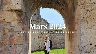 Mars 2024 NORDLYS bursdager og Tyrkia  Studentlivet i Trondheim [upl. by Ahsinrad]