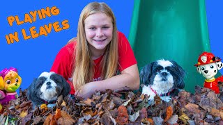 Assistant Fall Fun in the Leaves with Wiggles amp Waggles [upl. by Ashraf]