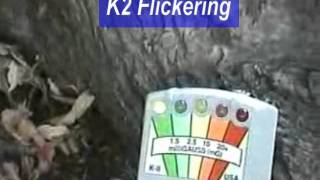 My first experience with the K2 EMF detector lighting up during an investigation [upl. by Fotinas]