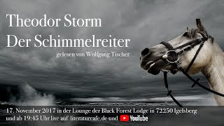 Theodor Storm Der Schimmelreiter  Teil 1  gelesen von Wolfgang Tischer [upl. by Maeve]