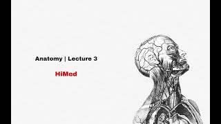 Human Structure amp Function  Anatomy  The back [upl. by Eyr]