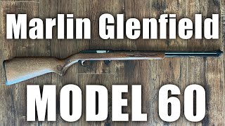 Marlin Glenfield Model 60 The Iconic Squirrel Stock Rifle  Full Documentary [upl. by Josias]