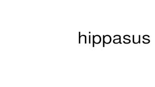 How to pronounce hippasus [upl. by Imelida]