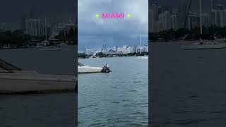 city skyline miami walkingtour beachwalktour nature beach [upl. by Ebaj]