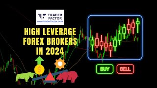 Best High Leverage Forex Brokers in 2024 [upl. by Einrae765]