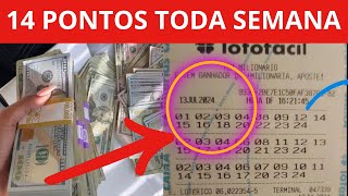 PERFEITO PARA INICINANTES  TODA SEMANA SAI PREMIAÇÃO DOS 14 PONTOS NA LOTOFACIL [upl. by Raine]