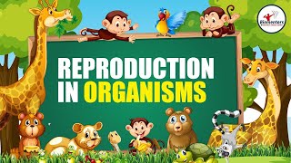 Reproduction in Organisms I Lecture 6 l Biology l NEET [upl. by Yenaiv]