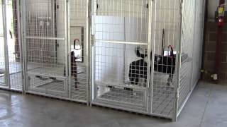 K9 Kennel Store Inside Outside Dog Kennel System [upl. by Shannon109]