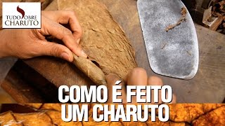 Como é feito um charuto  Tudo Sobre Charuto [upl. by Nordine]