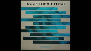 Batz Without Flesh  No Memory Full Album [upl. by Eerhs]