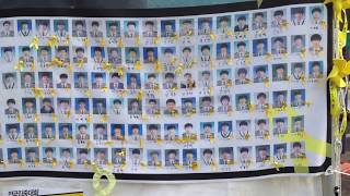 세월호의 단원고 희생자들 victims of Sewol ferry disaster [upl. by Cowles]