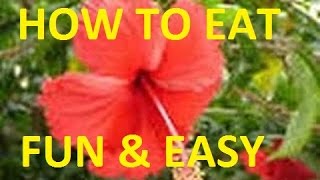 HOW TO EAT HIBISCUS FLOWERS [upl. by Surdna]