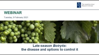 Late season Botrytis the disease and options to control it [upl. by Anitsahs791]