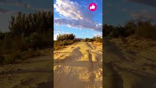 Mountain biking South Africa shortsyoutube [upl. by Dallman58]