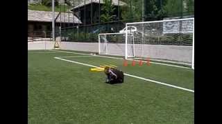 Allenamenti Portiere calcio  25 esercitazioni [upl. by Bernadina]