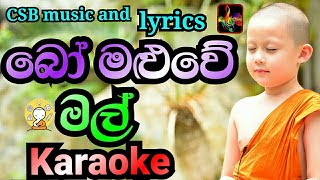 Bo Maluwe Mal KaraokeWithout Voiceබෝ මළුවේ මල් KaraokeCSB Music And LyricsSanath Nandasiri [upl. by Nalyr]