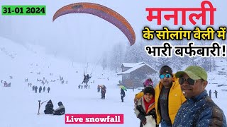 Heavy snowfall in solang Valley Manali Himachal Pradesh on 31 January 2024 Manali snowfall update [upl. by Bozovich]