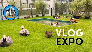 ÉNORME VLOG VISITE EXPOSITIONS AVICOLE [upl. by Inneg330]