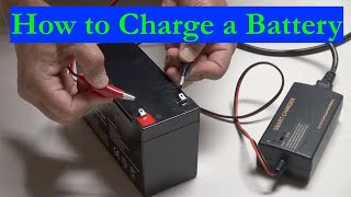 How to Charge a Batterylead acid and lithiumion batteries 2021 [upl. by Anawat652]