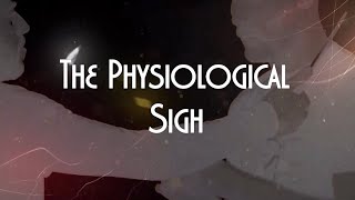 The Physiological Sigh [upl. by Dahij726]