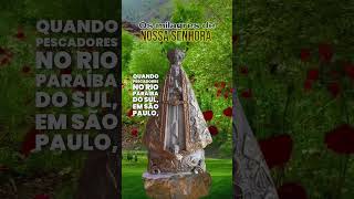 Os milagres de nossa senhora deus nossasenhoraaparecida mensagem prosperidade [upl. by Aetnuahs467]