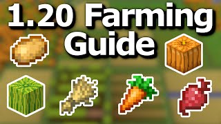 The Ultimate Minecraft 120 Crop Farming Guide  Tips and Tricks to Efficiently Grow Food [upl. by Kcirddot131]