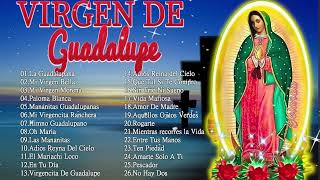 Alabanzas a la Virgen de Guadalupe🙏💐 40 Cantos A La Virgen De Guadalupe [upl. by Sadnac]