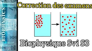 Biophysique SVI S3 Correction des extraits d´examens [upl. by Swaine160]