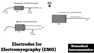 Electrodes for Electromyogram EMG  Biomedical Instrumentation and Measurement [upl. by Siurtemed]