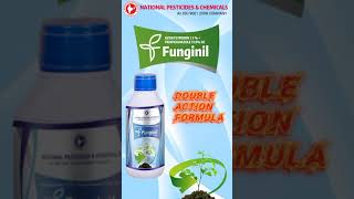 FUNGINIL  Azoxystrobin 71  Propiconazole 119 SE Fungicide [upl. by Briggs]