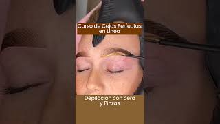 Brow Lamination  Cejas Perfectas shorts cejashd cejascongena brows [upl. by Sidonie]