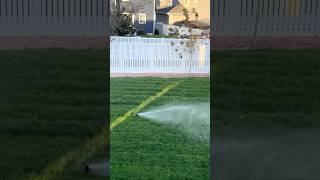 🔥 அமெரிக்காவில் எங்க வீட்டு sprinkler system  Backyard transformation 1 shorts ytshorts vlogs 💧 [upl. by Vasiliu]