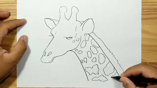 How to draw GIRAFFE HEAD [upl. by Yerdna]