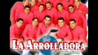 perdon por que la arrolladora [upl. by Milford]