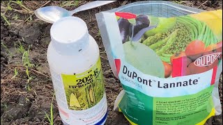 FARM LIFE Applying Insecticide 202R amp Lannate [upl. by Given]