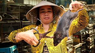 Surviving on RATS This Mekong Village Makes Millions from Rats [upl. by Lexie228]