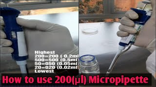 How to use Micropipette 200µl [upl. by Algie737]