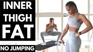 Inner Thigh Workout ➡ HOW TO LOSE FAT NO JUMPING [upl. by Seroled]