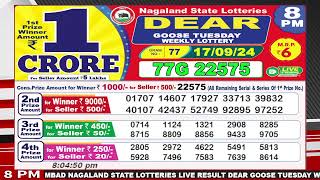 Dear Goose Tuesday Weekly Lottery 8pm Date Of Draw 17092024 [upl. by Granny585]