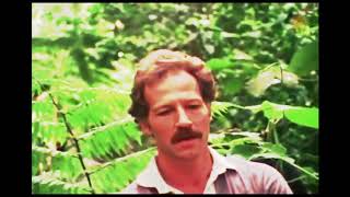 Werner Herzog music video [upl. by Eniliuqcaj]