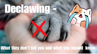 The Sad Truth About Declawing Cats [upl. by Ahsikam796]