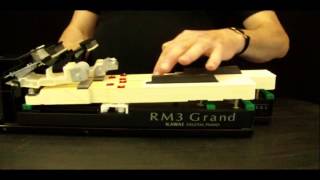 Kawai Piano Action  RM3 vs Grand Feel GF [upl. by Auqenat]