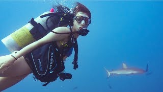 Coralhead Sharks and the Prinz Eugen  Dive Kwajalein pt 1 [upl. by Ecylahs]