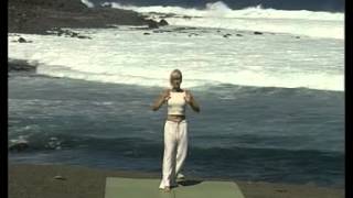 Tai Chi Chi Kung Spanish [upl. by Consuelo]