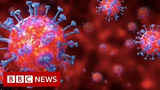 Coronavirus explained in 60 seconds  BBC News [upl. by Thetos]